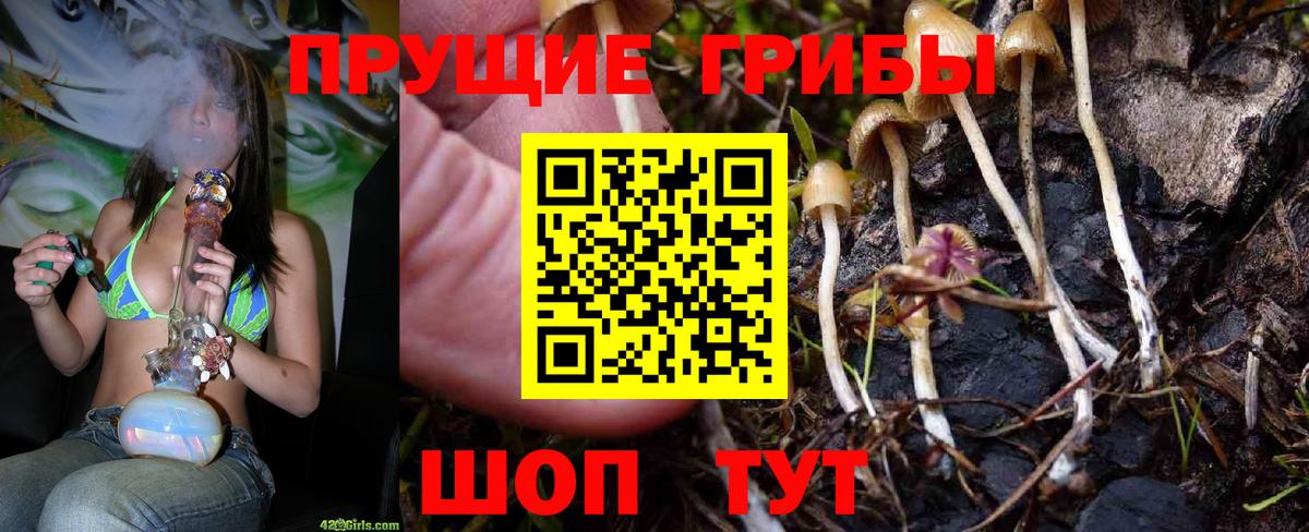 Псилоцибиновые грибы Psilocybine cubensis  Вход с VPN  Ноябрьск 