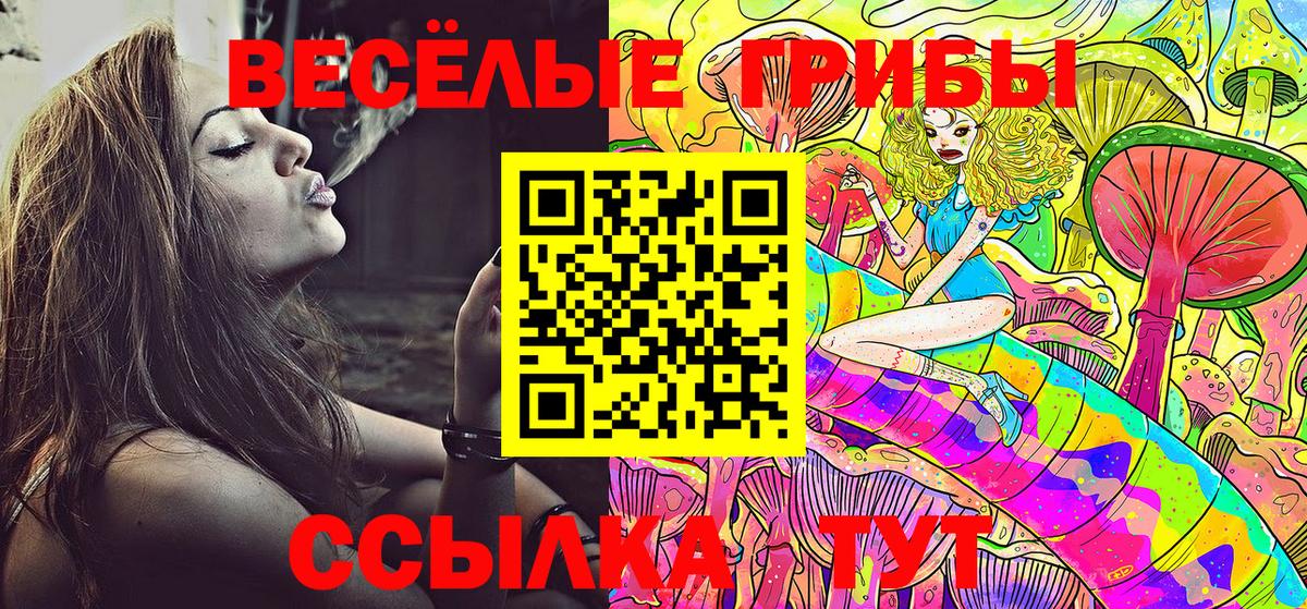 Псилоцибиновые грибы Psilocybine cubensis Ноябрьск