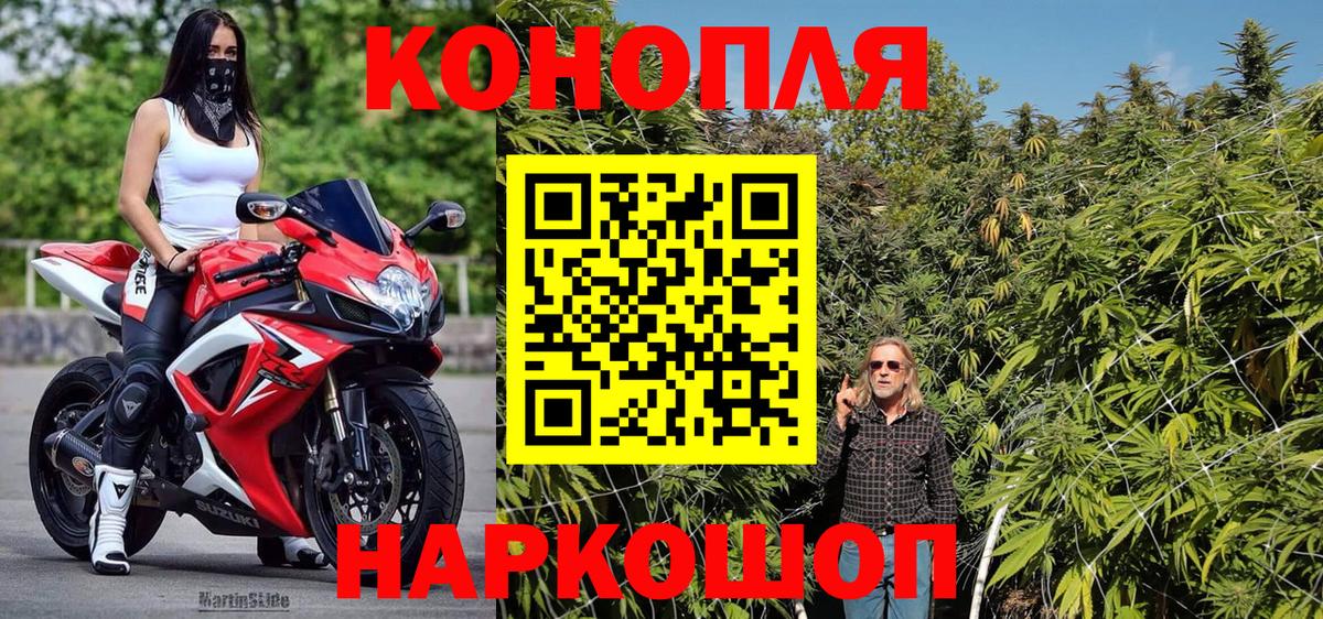 Конопля конопля Ноябрьск